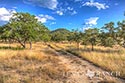 445 acre ranch Bandera County image 15