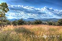 445 acre ranch Bandera County image 5