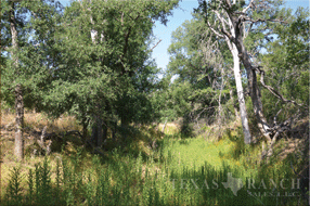  450 acre Ranch for sale image #1