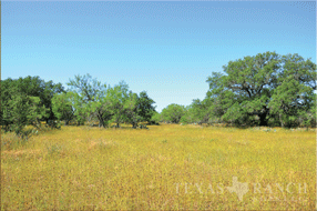  450 acre Ranch for sale image #11