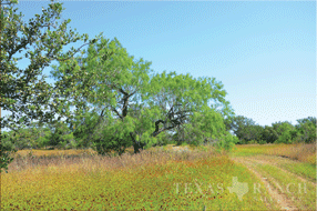 450 acre Ranch for sale image #13