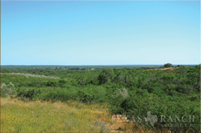  450 acre Ranch for sale image #14
