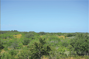  450 acre Ranch for sale image #15
