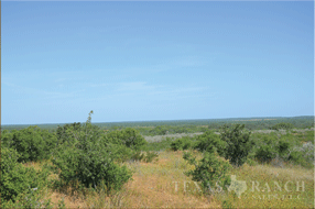  450 acre Ranch for sale image #18