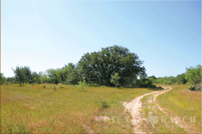  450 acre Ranch for sale image #2