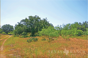  450 acre Ranch for sale image #3