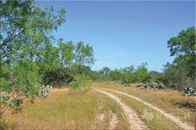 450 acre Ranch for sale image #7