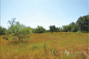  450 acre Ranch for sale image #8