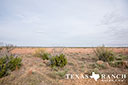 452 acre ranch Stonewall County image 28