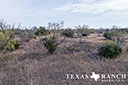 452 acre ranch Stonewall County image 33
