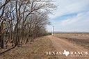 452 acre ranch Stonewall County image 41