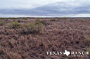 452 acre ranch Stonewall County image 47