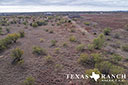 452 acre ranch Stonewall County image 49