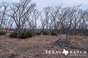 452 acre ranch Stonewall County image 50
