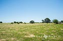 454 acre ranch Robertson County image 31