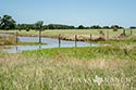 454 acre ranch Robertson County image 31