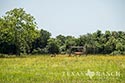 454 acre ranch Robertson County image 38