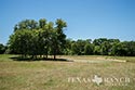 454 acre ranch Robertson County image 39