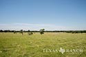454 acre ranch Robertson County image 40