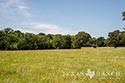 454 acre ranch Robertson County image 45