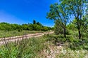 45 acre ranch Medina County image 1