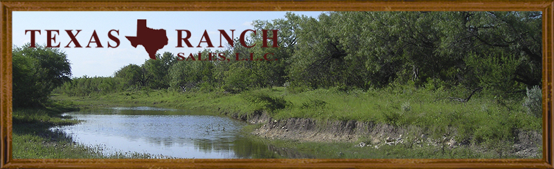 Ranch Real Estate, 473 acres Frio County