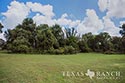 483 acre ranch Lampasas County image 19