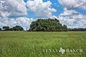 483 acre ranch Lampasas County image 20