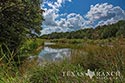 483 acre ranch Lampasas County image 24