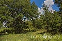 483 acre ranch Lampasas County image 45