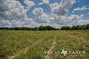 483 acre ranch Lampasas County image 48