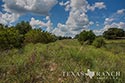 483 acre ranch Lampasas County image 50