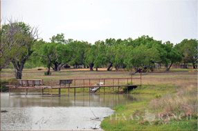  400 acre Ranch for sale image #22