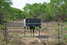  400 acre Ranch for sale image #36