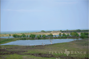  400 acre Ranch for sale image #41