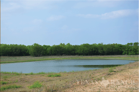  400 acre Ranch for sale image #42