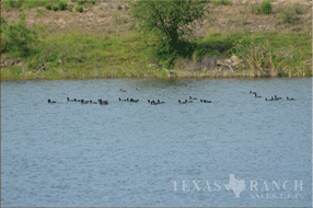  400 acre Ranch for sale image #43