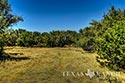 497 acre ranch Sutton County image 37