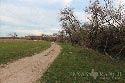 50 acre ranch Val Verde County image 3