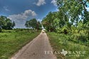 511 acre ranch Zavala County image 1