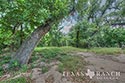 511 acre ranch Zavala County image 8