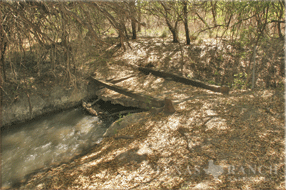 5400 Acres Image 10