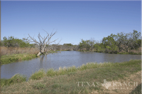 5400 Acres Image 11