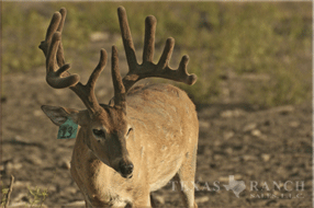 5400 Acres Image 19