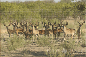 5400 Acres Image 21
