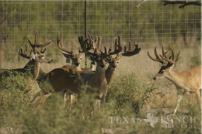 5400 Acres Image 22