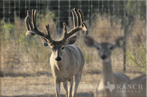 5400 Acres Image 23