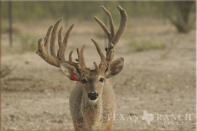 5400 Acres Image 25