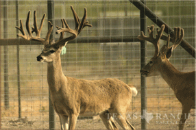 5400 Acres Image 26
