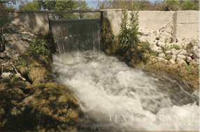5400 Acres Image 6